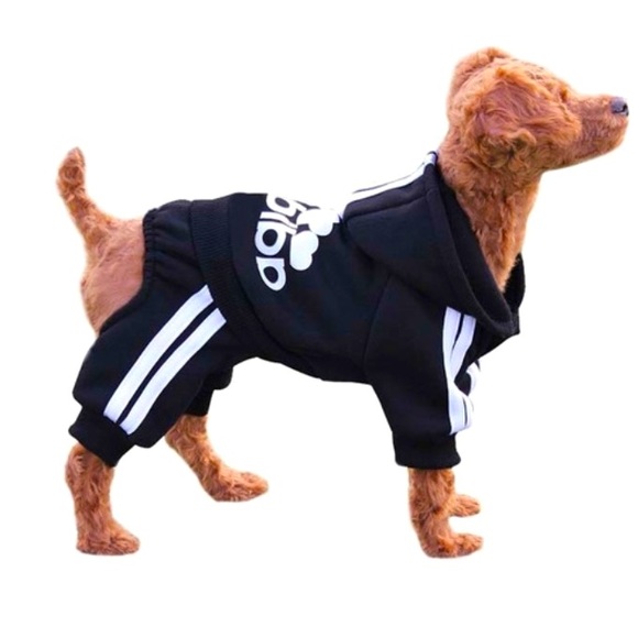 adidas Other - Adidas doggy suit